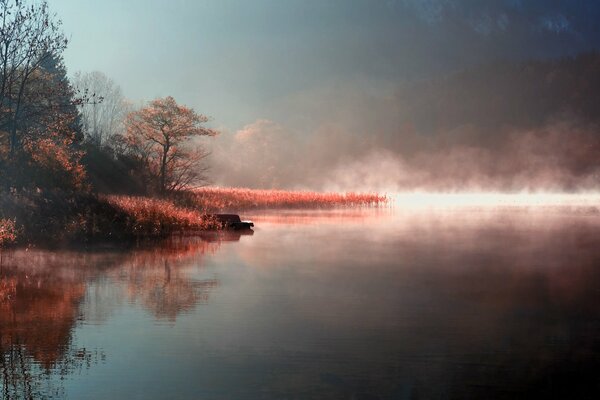 Rive du lac dans le brouillard