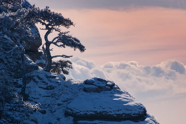 Acantilado de montaña bajo la nieve a la altura de las nubes