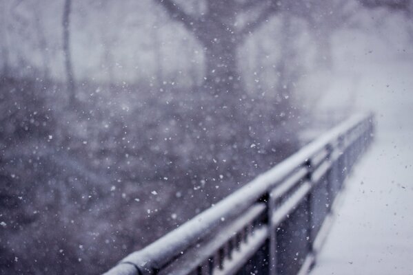 Nature en hiver en noir et blanc