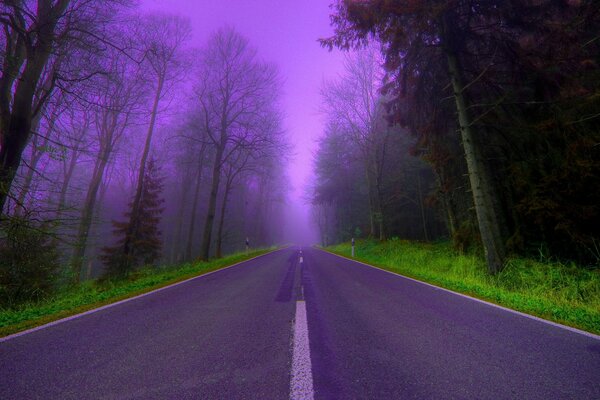 Mystical lilac road to nowhere