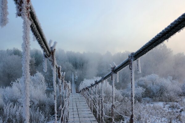 Puente cubierto de escarcha en invierno