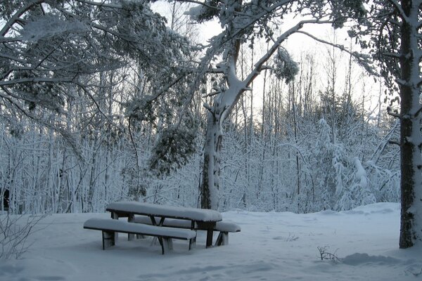 A snow-covered picnic spot in the woods