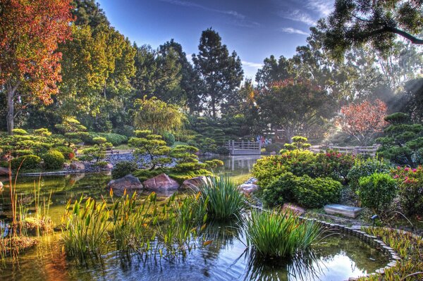 Hermoso estanque en un Jardín japonés