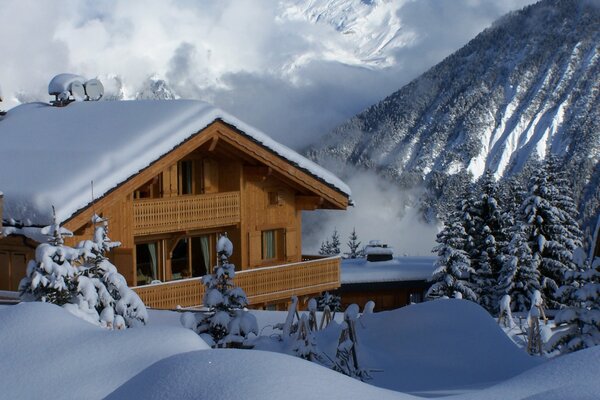 Holzhütte und schneebedeckte Fichten in den Bergen