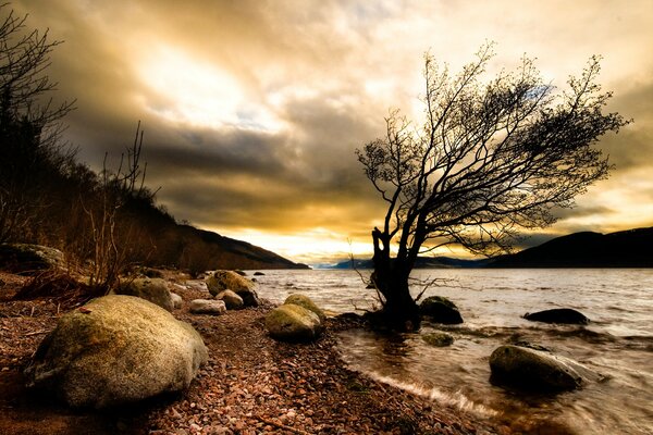 Nature is visible darkness tree and river