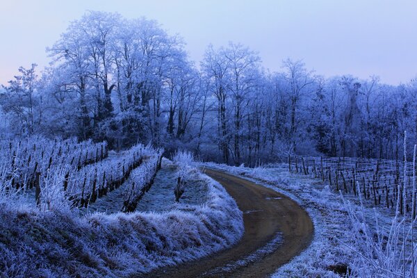 The road along the frost-covered fields and forests