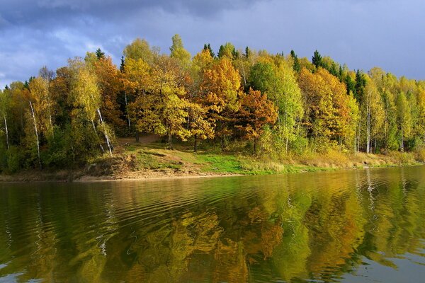 Полноводная река и осенний лес