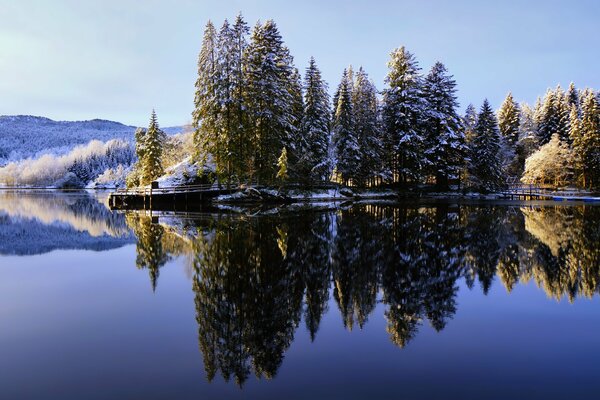 The forest is reflected in the water of the lake