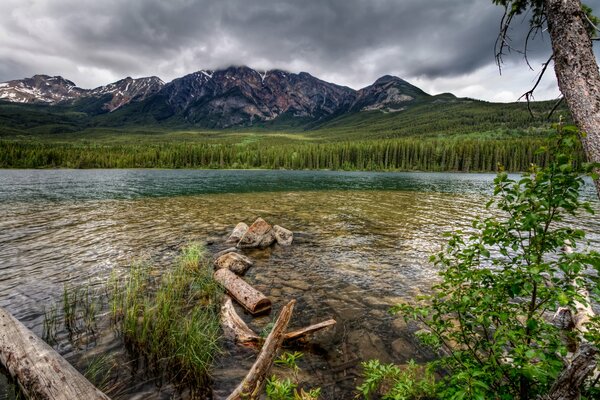 Природа с горой, рекой и лесом