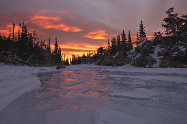 Landscape of a frozen river in the forest