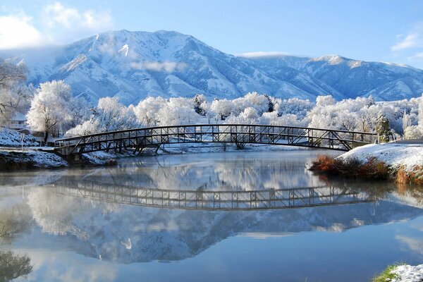 Ponte invernale sul lago