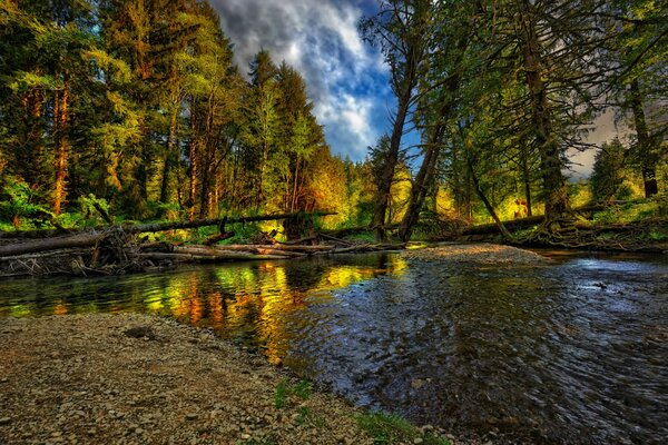 Herbstlandschaft mit Fluss und Wald