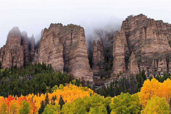 Bosque de otoño en las montañas