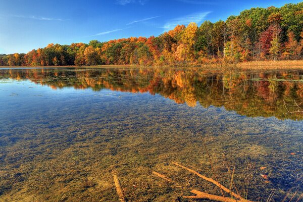 Aguas transparentes de otoño en el río