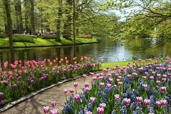 Parque con tulipanes junto al estanque