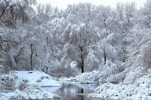 Der Winter ist im Winter angekommen