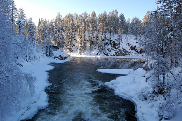 Serata invernale vicino al fiume nella foresta