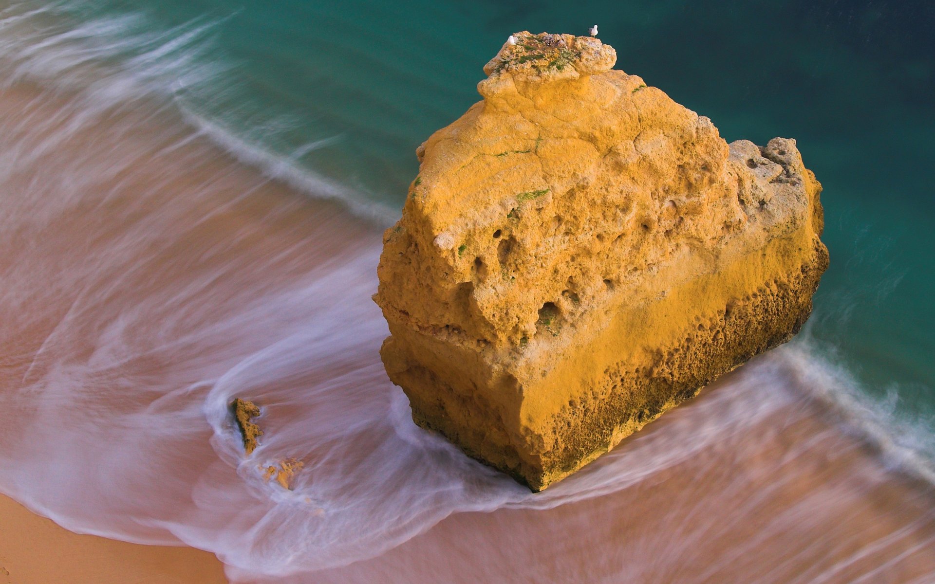 mar agua océano costa costa piedra piedras roca rocas pájaros pájaro gaviota gaviotas surf