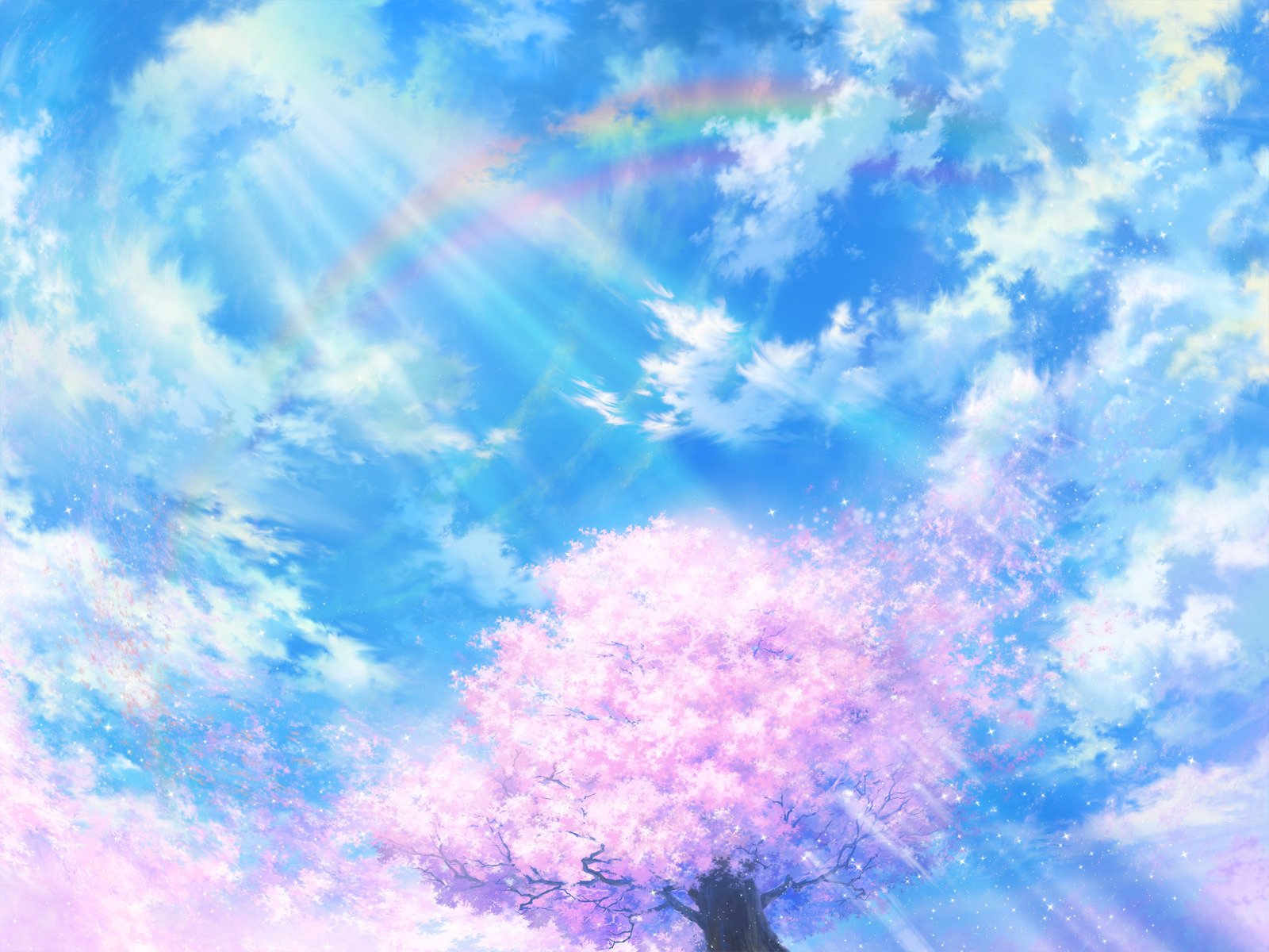 picture light sakura clouds wind