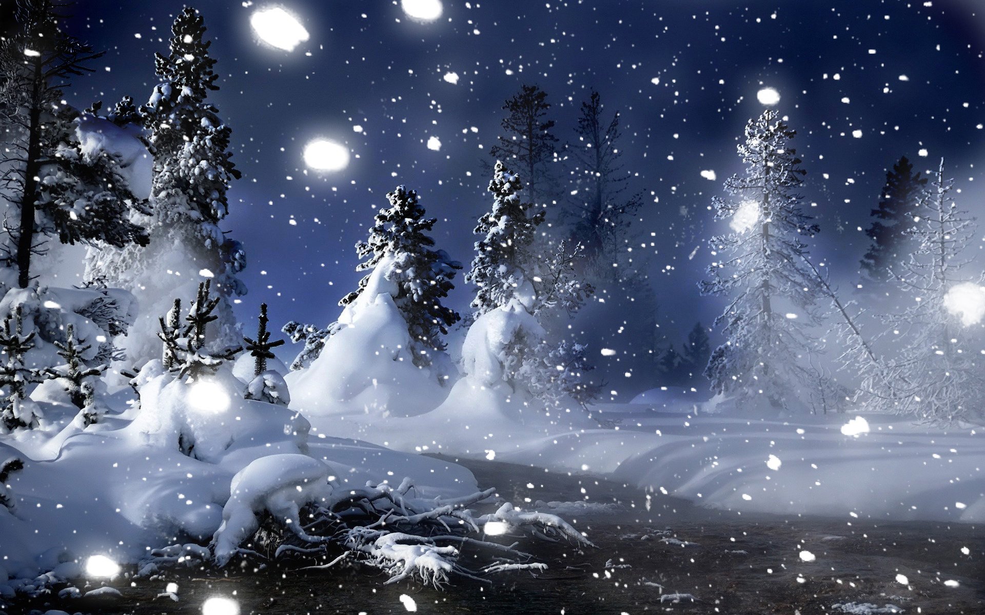 foresta notte inverno neve alberi di natale