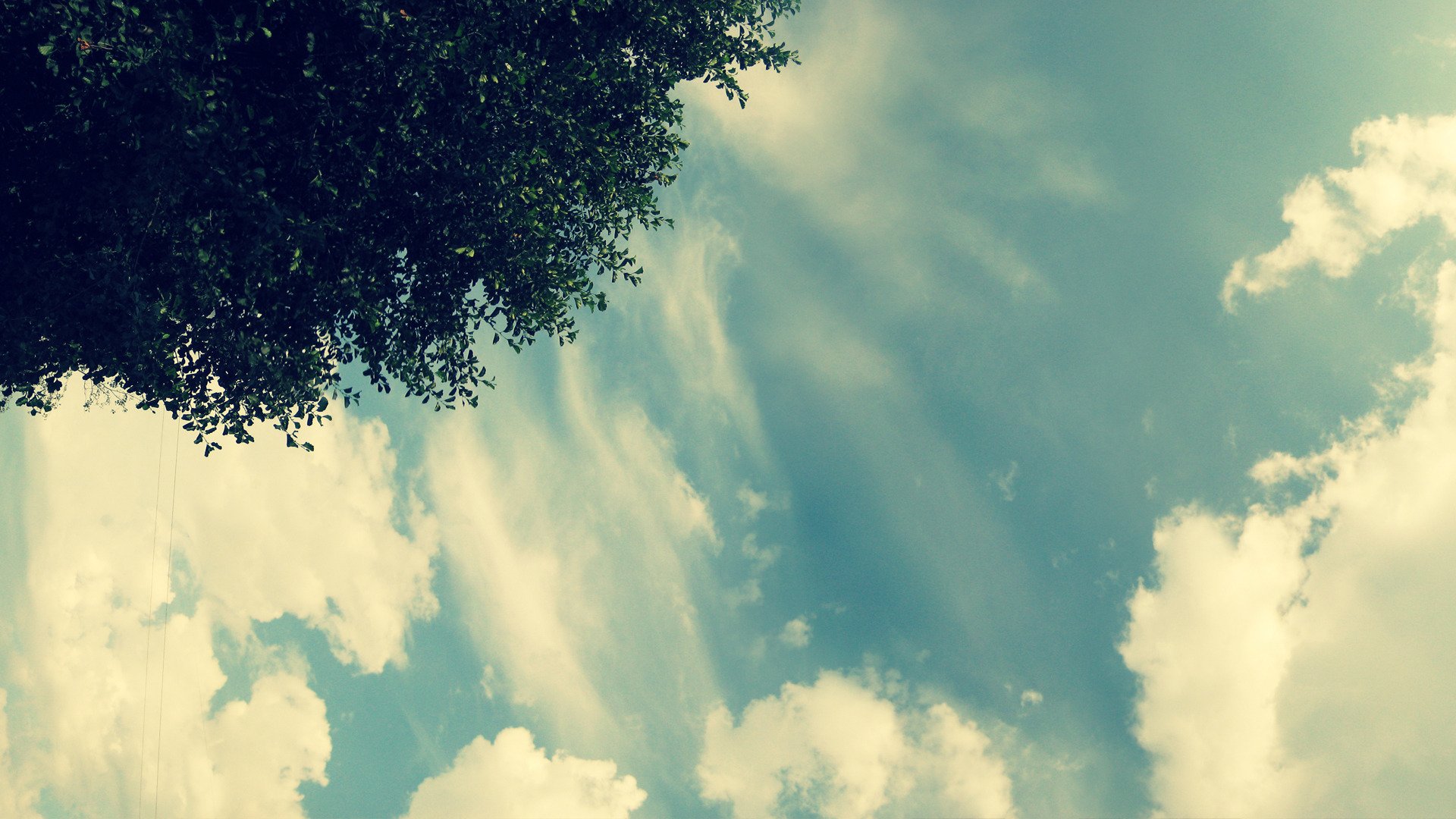 ciel arbre lumière nuages