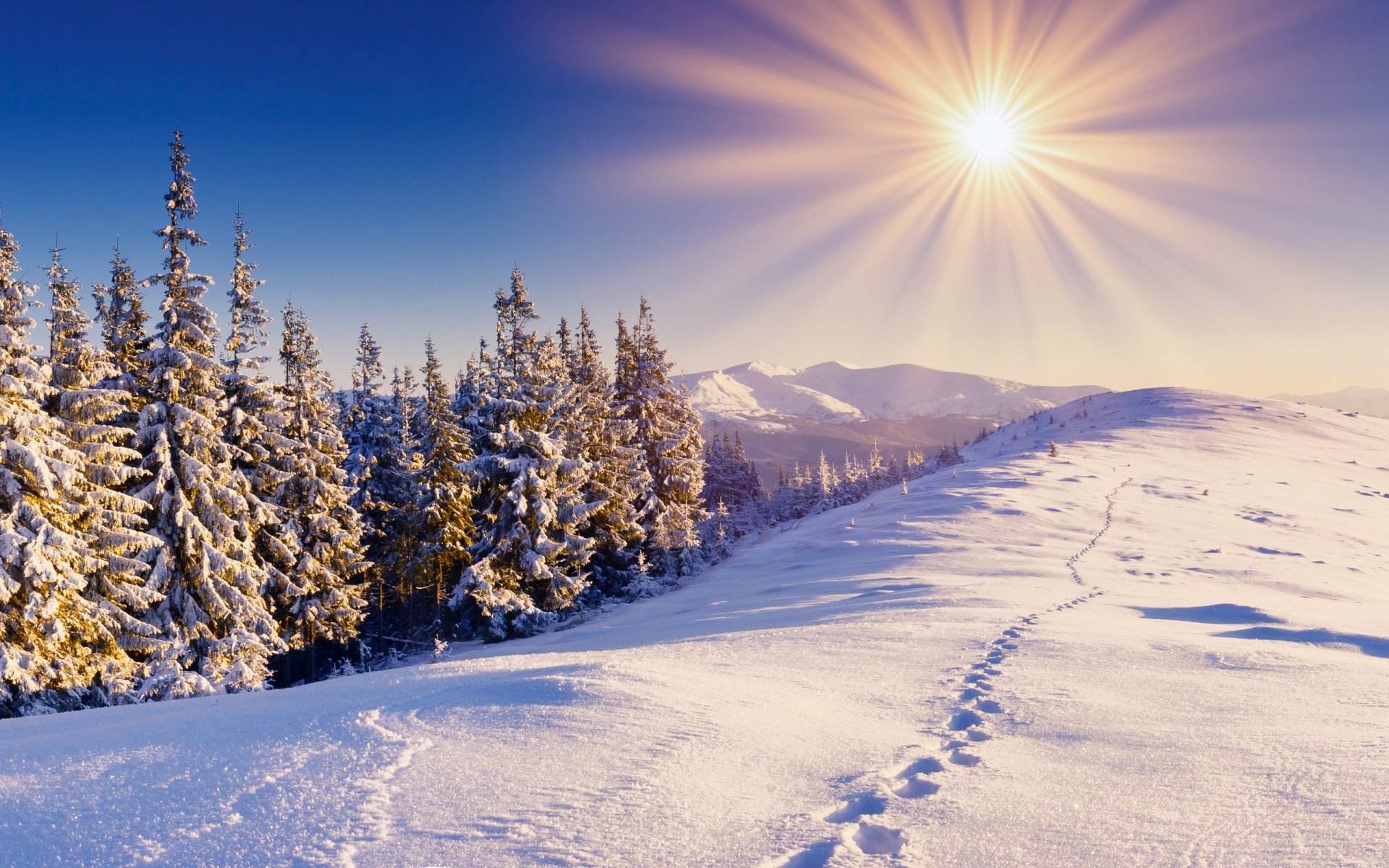 bosque invierno nieve huellas montañas cielo sol