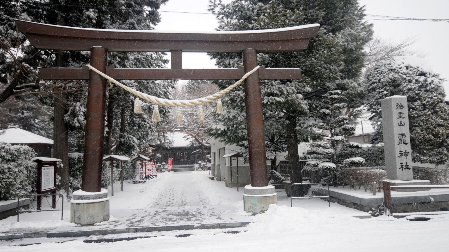 japón nieve puerta