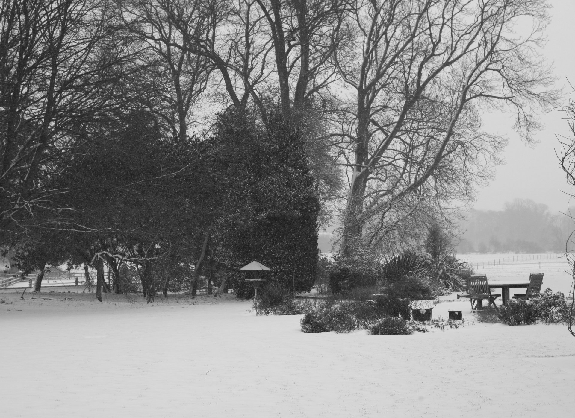 winter blanket winter marketplace table chairs snow tree beauty