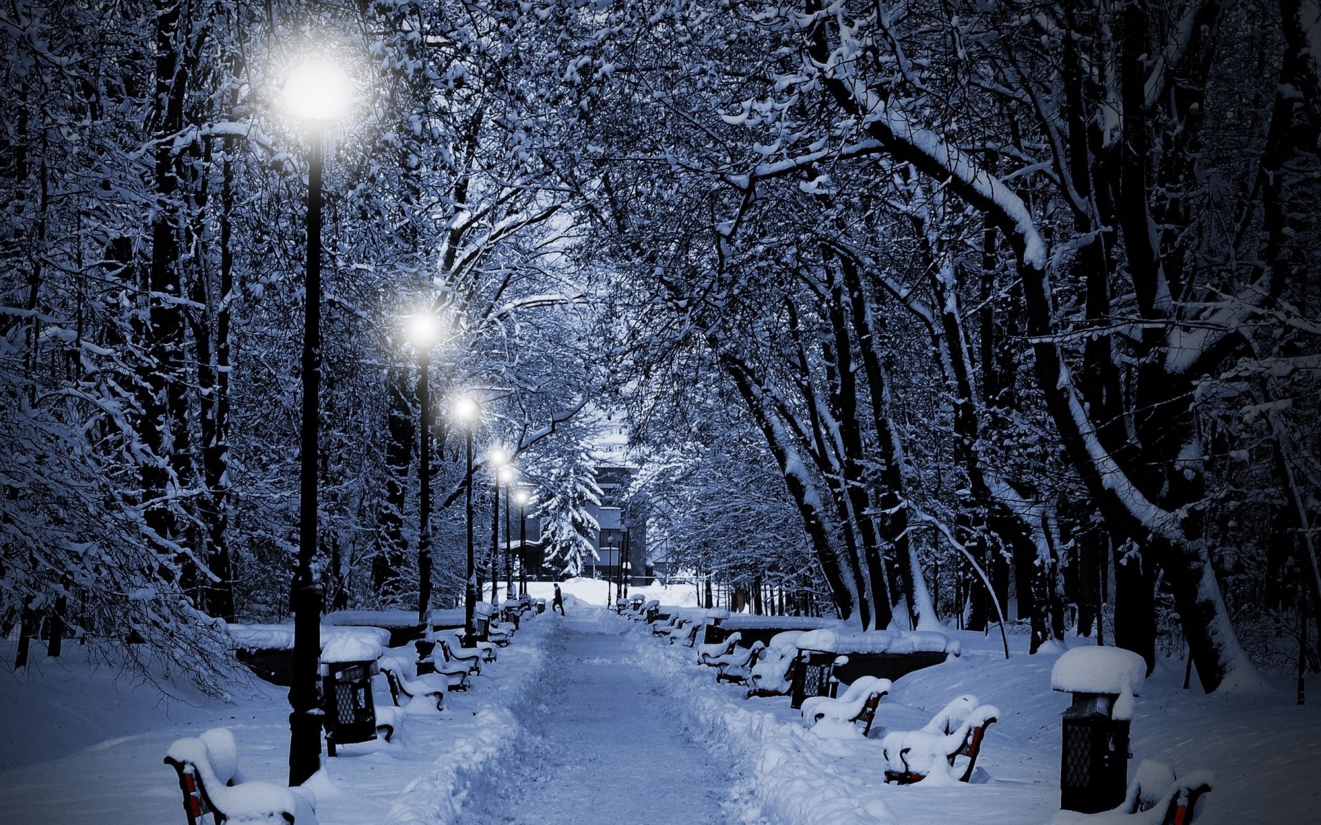 winter bäume schnee park bänke lichter lichter abend