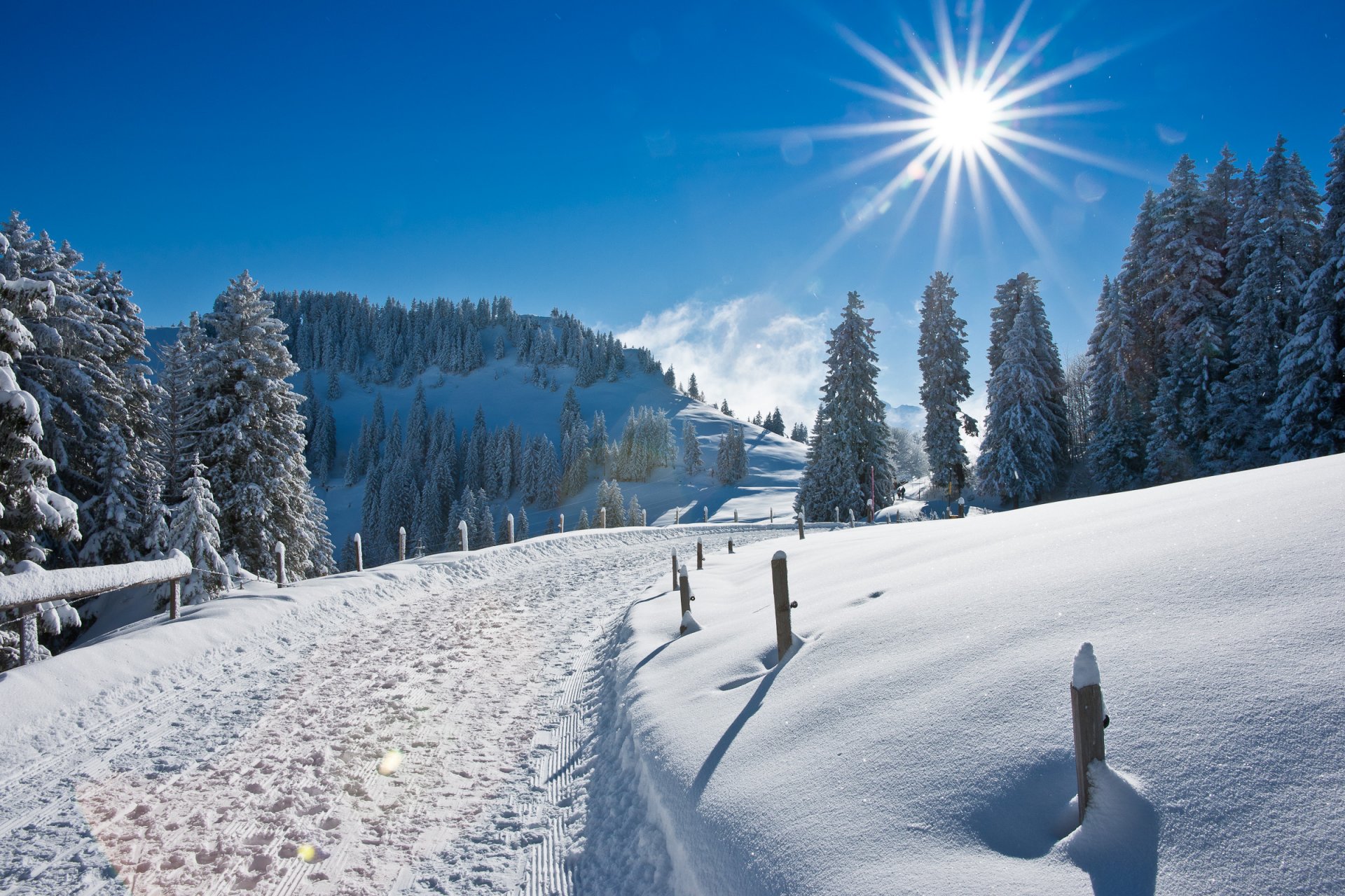 natur winter straße schnee sonne strahlen blendung