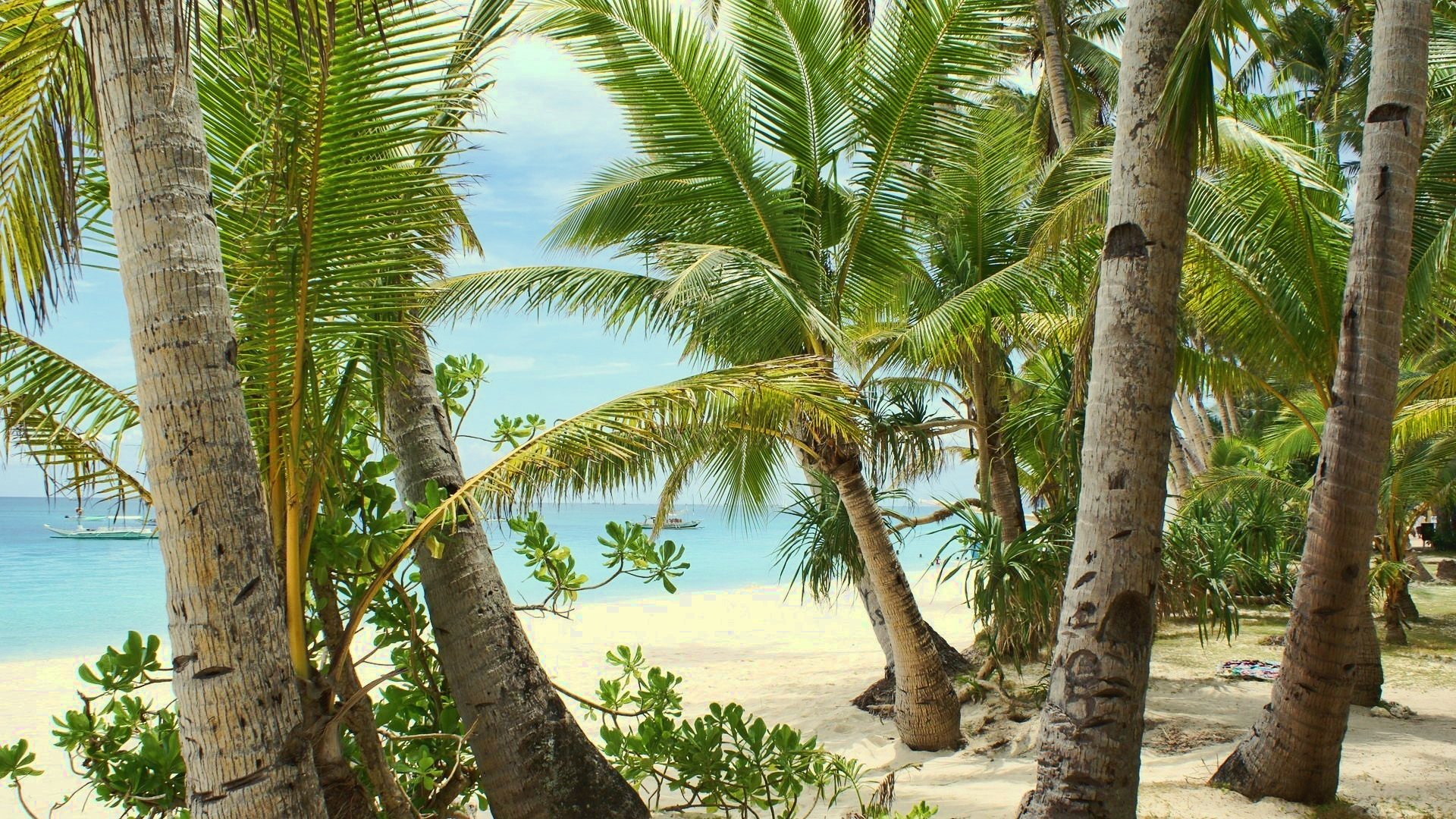 lato ciepło wakacje plaża piasek morze palmy