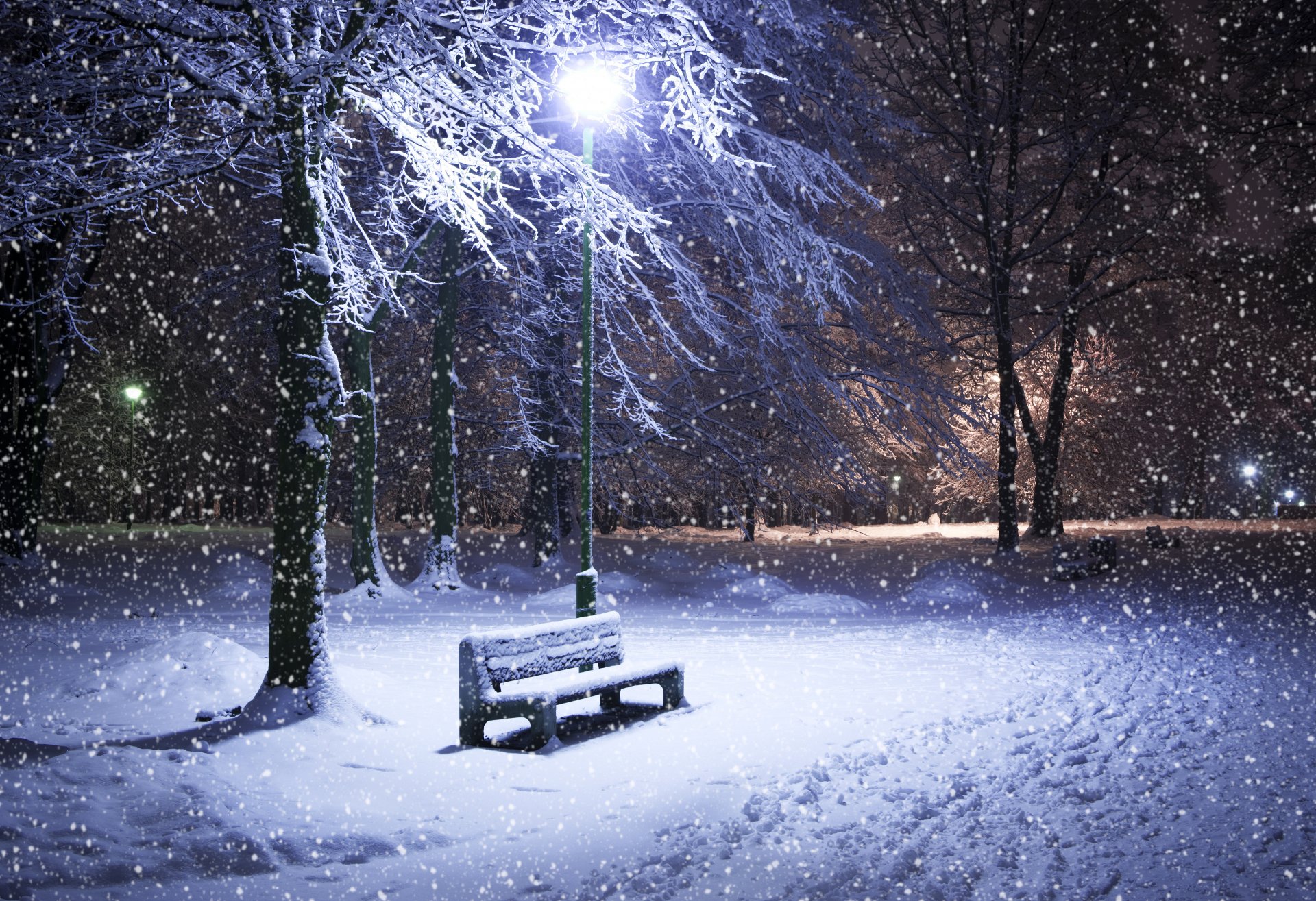 winter schnee nacht geschäft bäume park laterne