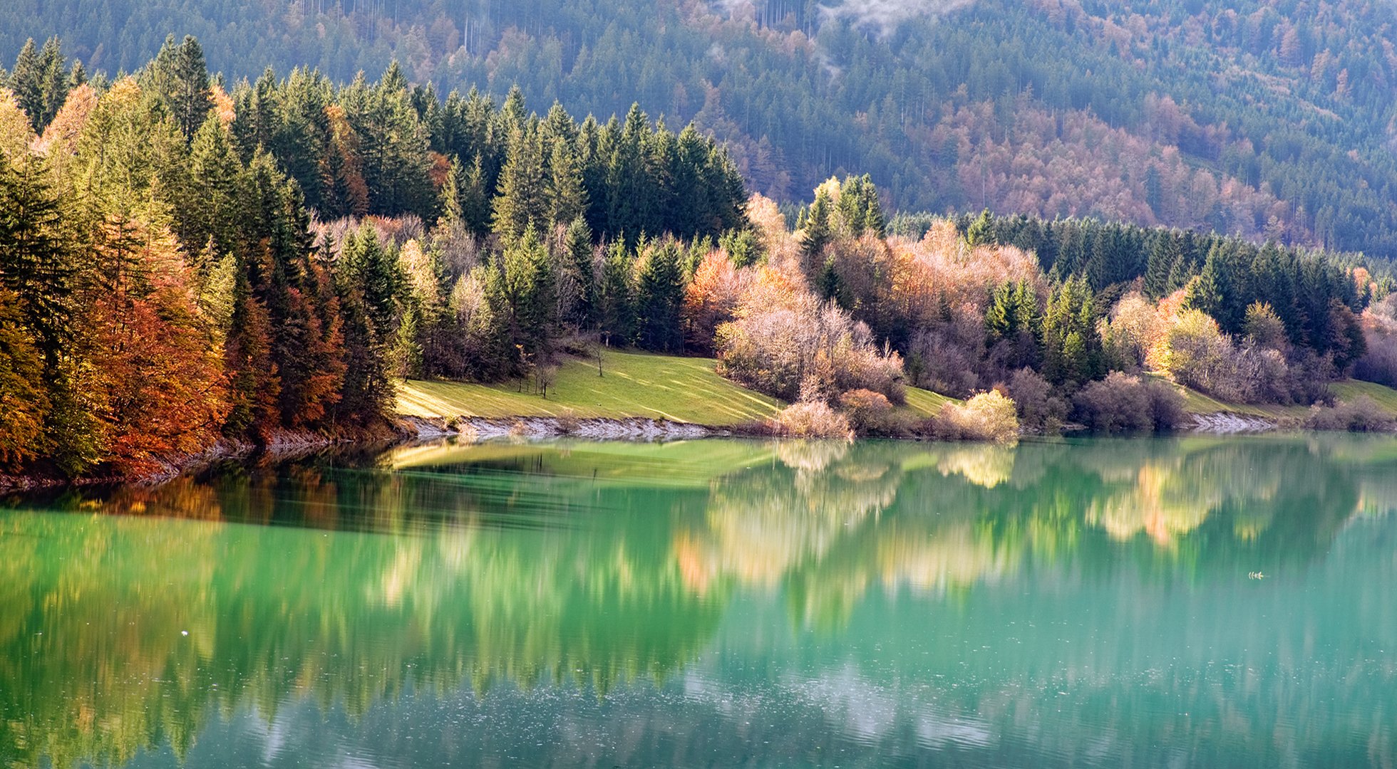 natur herbst fluss ufer wald