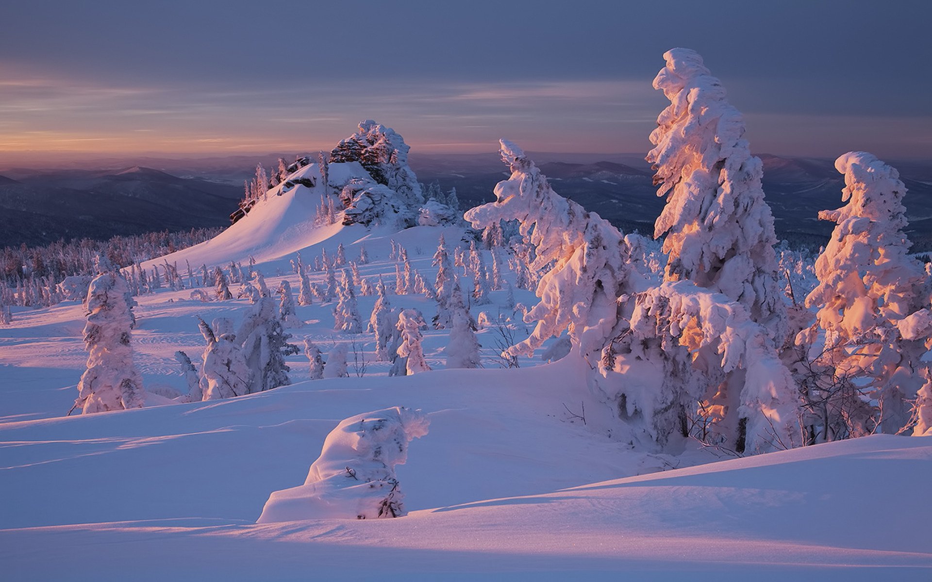 nature hiver neige forêt coucher de soleil