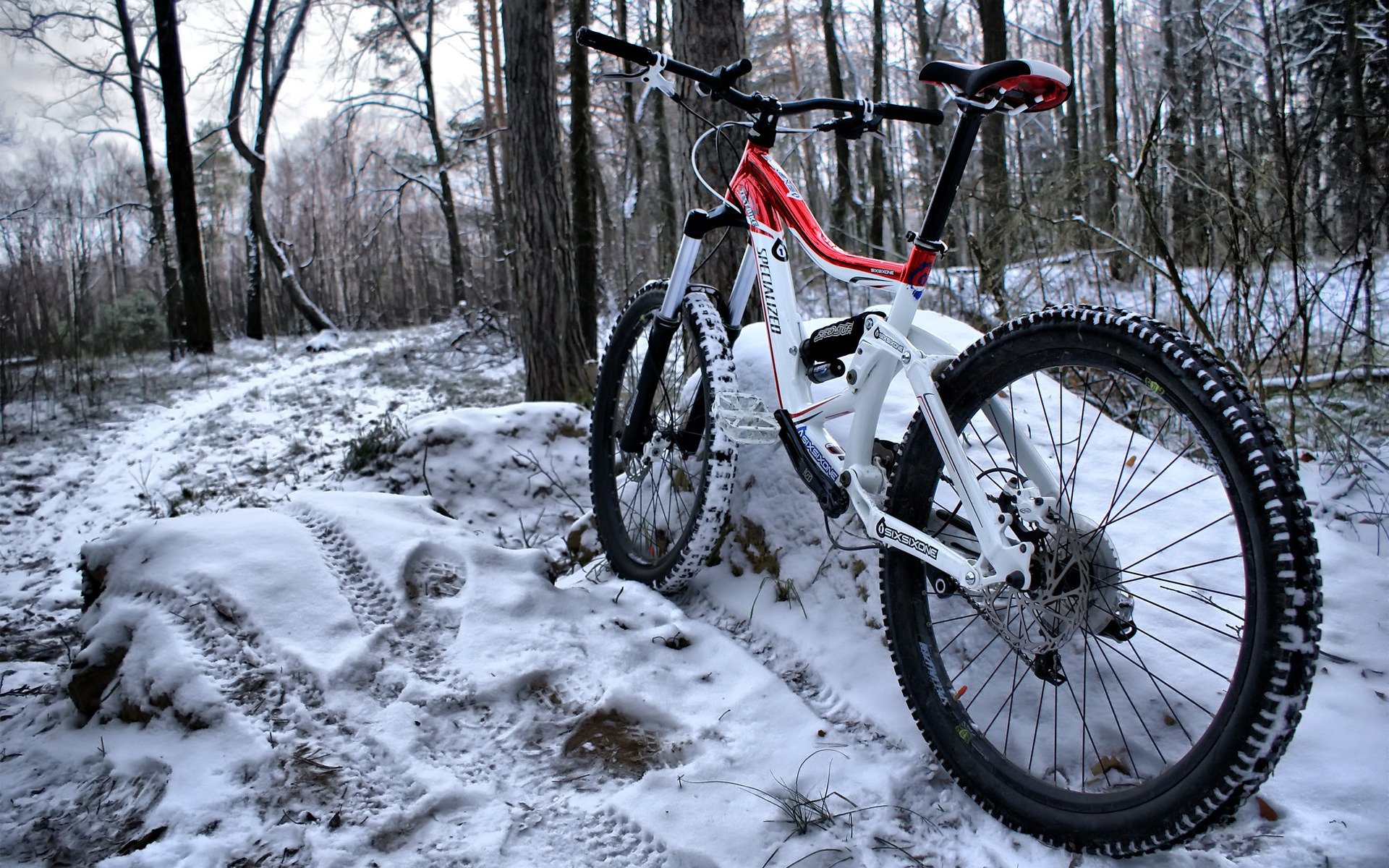 bosque invierno nieve bicicleta color marco