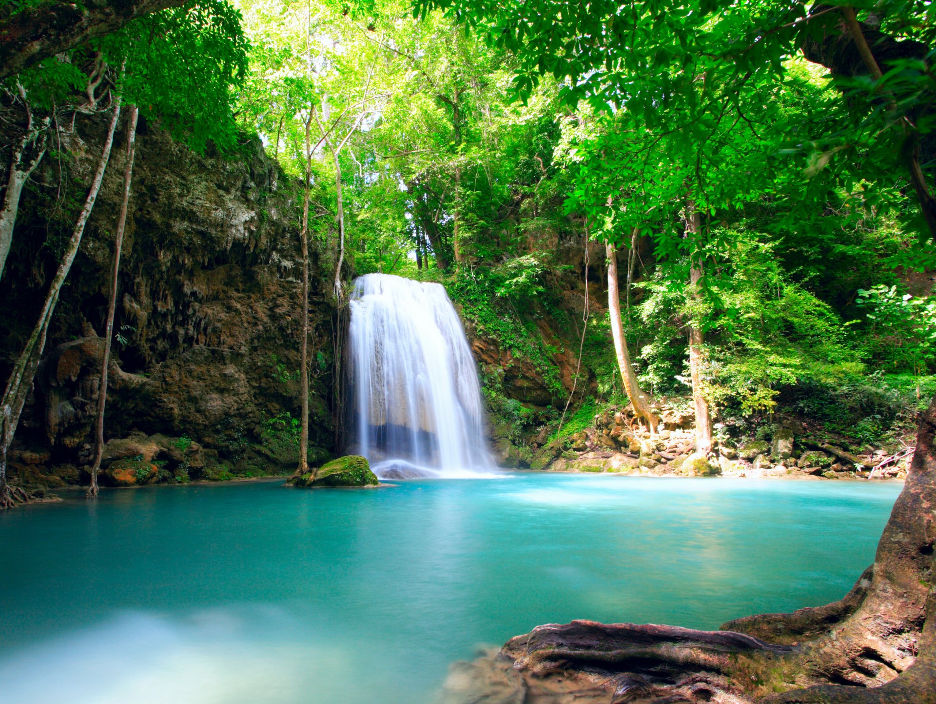 cascata flusso acqua stagno alberi verde natura