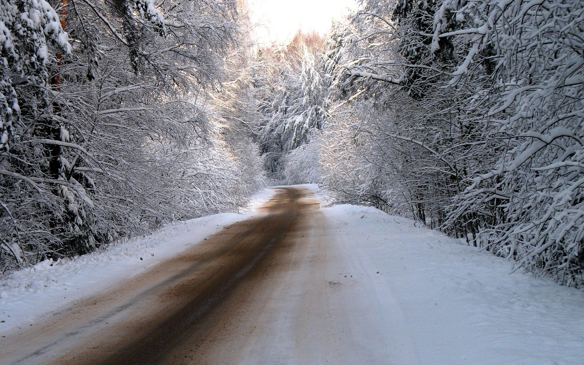 hiver nature neige photographie route routes forêt arbres