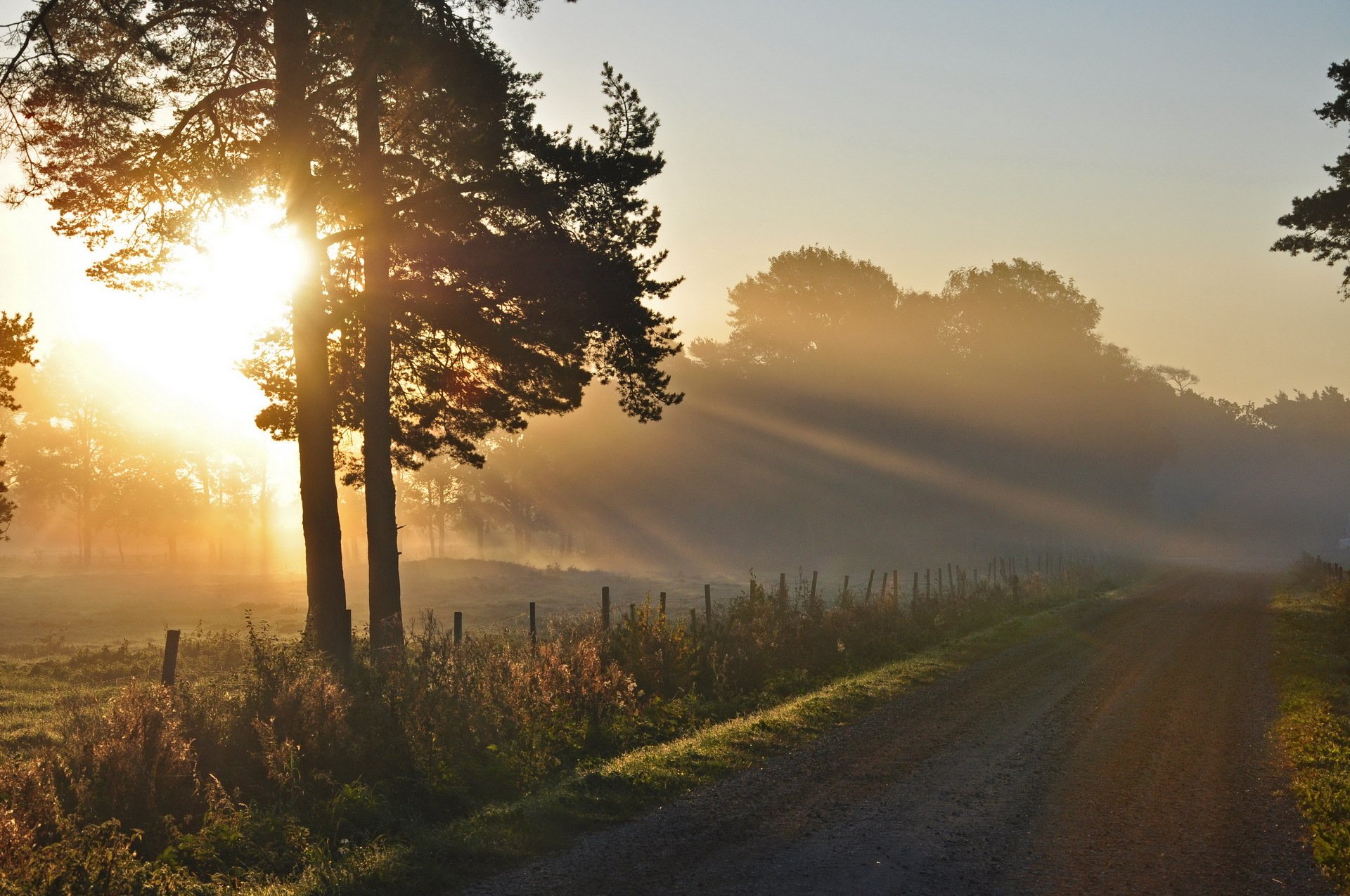 mattina strada luce paesaggio