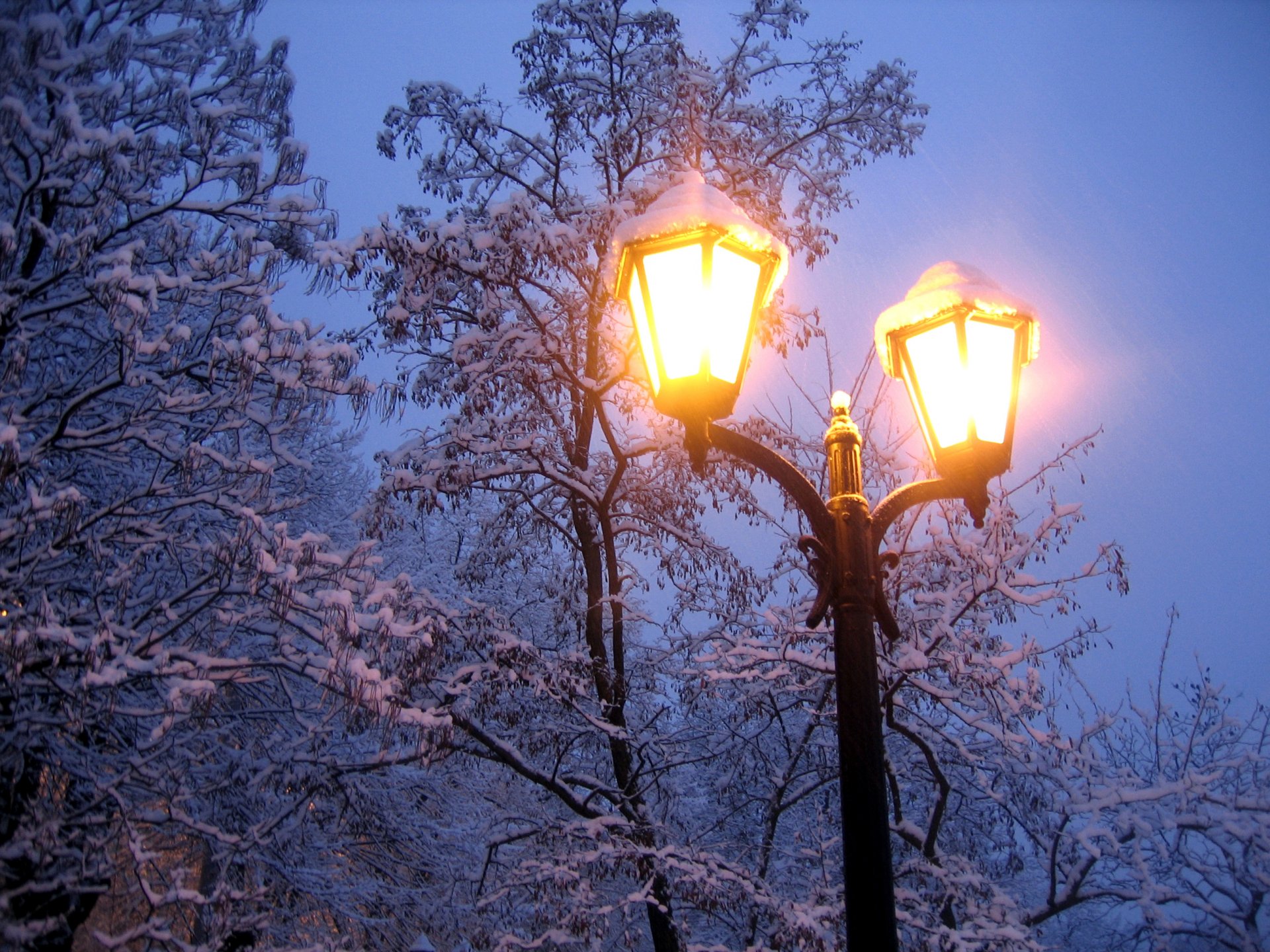 natur winter schnee kälte frost laterne licht bäume zweige abend