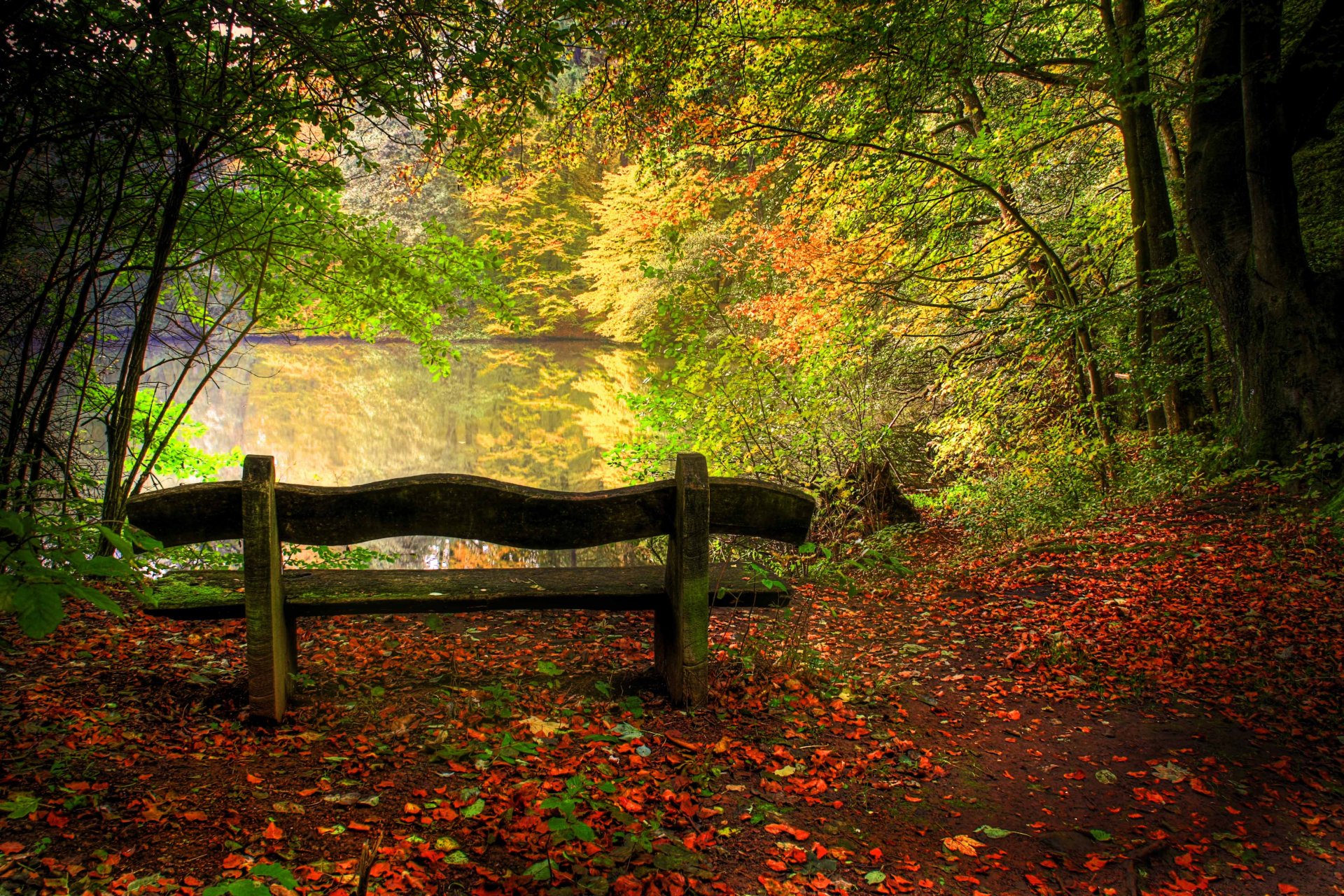 nature lac automne paysage arbres