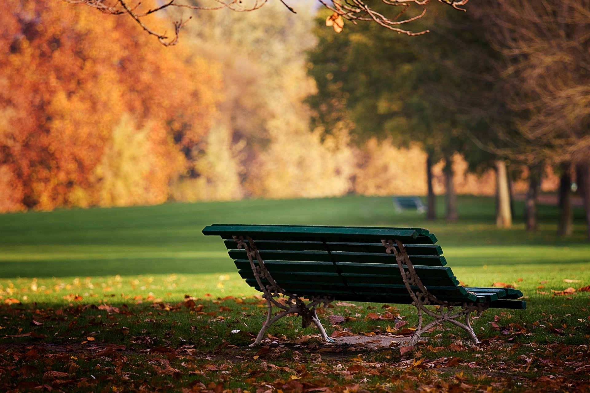 park bench bench autumn leaves day sun nature mood wallpaper