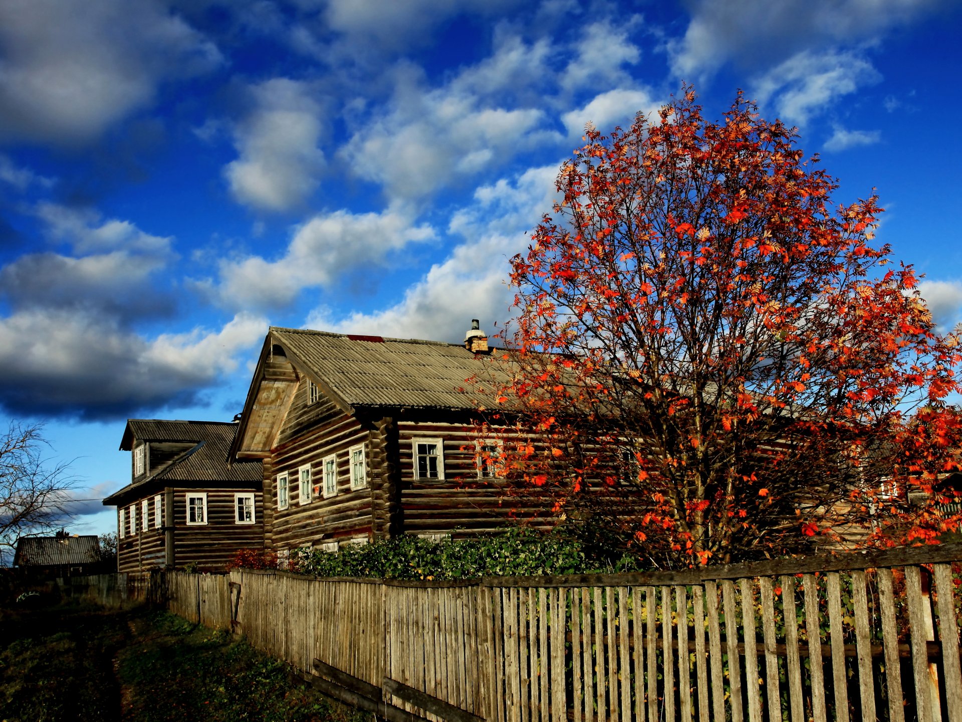 villaggio di arkhangelsk nord russo capanne autunno colori vivaci