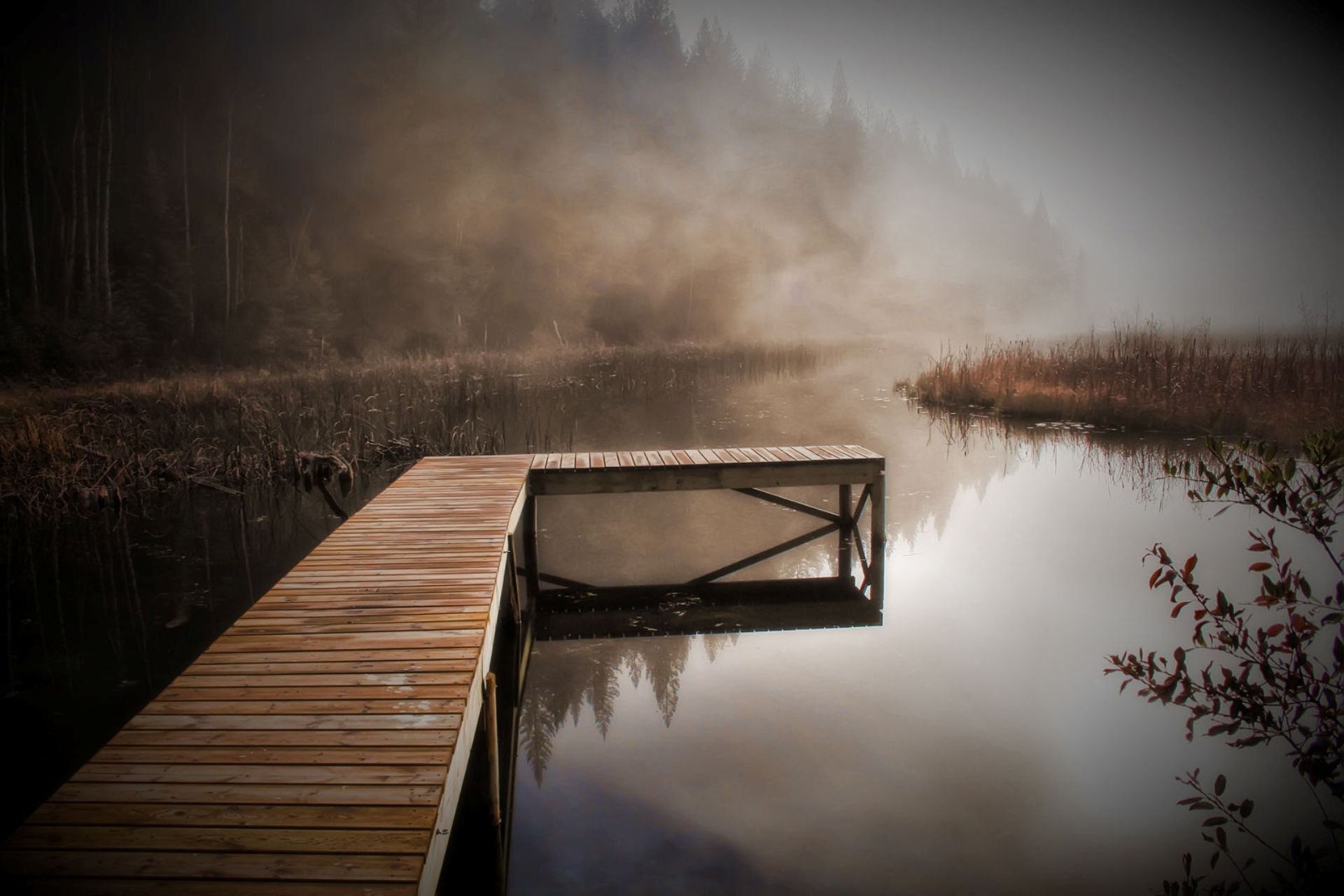 nature autumn forest river shore pier morning fog grayness background wallpaper