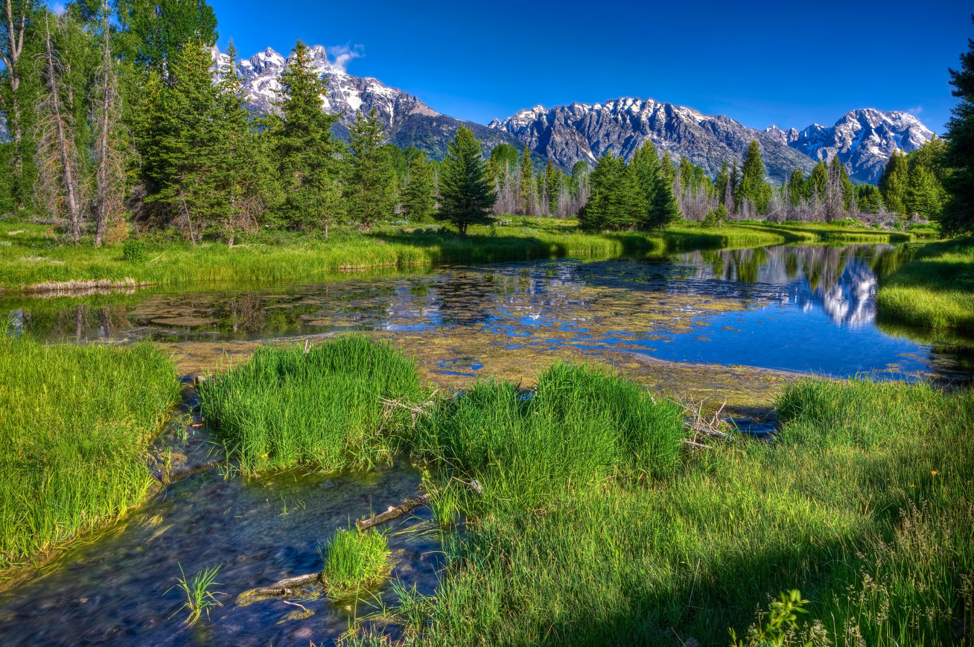 fiume fiume erba foresta alberi distanza montagne rocce cime neve cielo