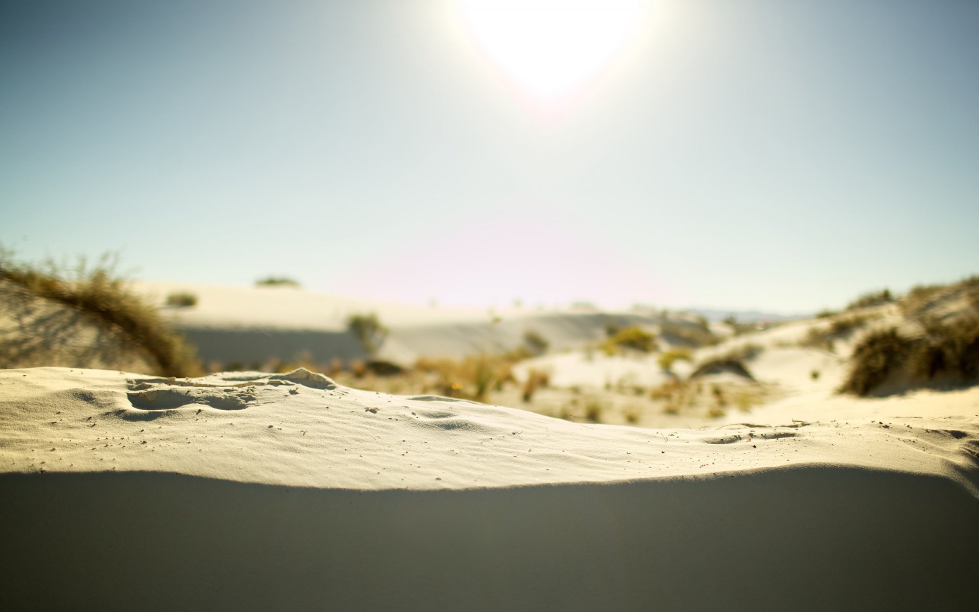 landscape nature sand sands summer sun heat