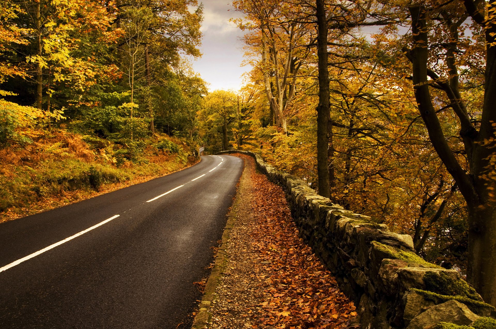 natur herbst straße markierung