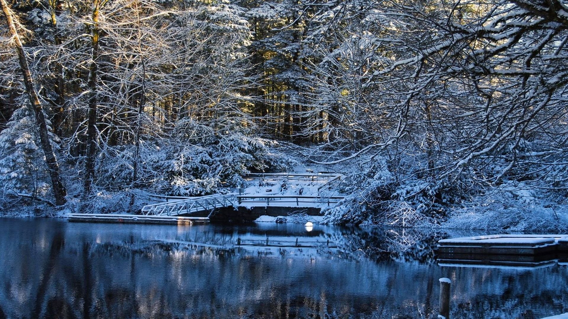 neige eau arbres lac pont