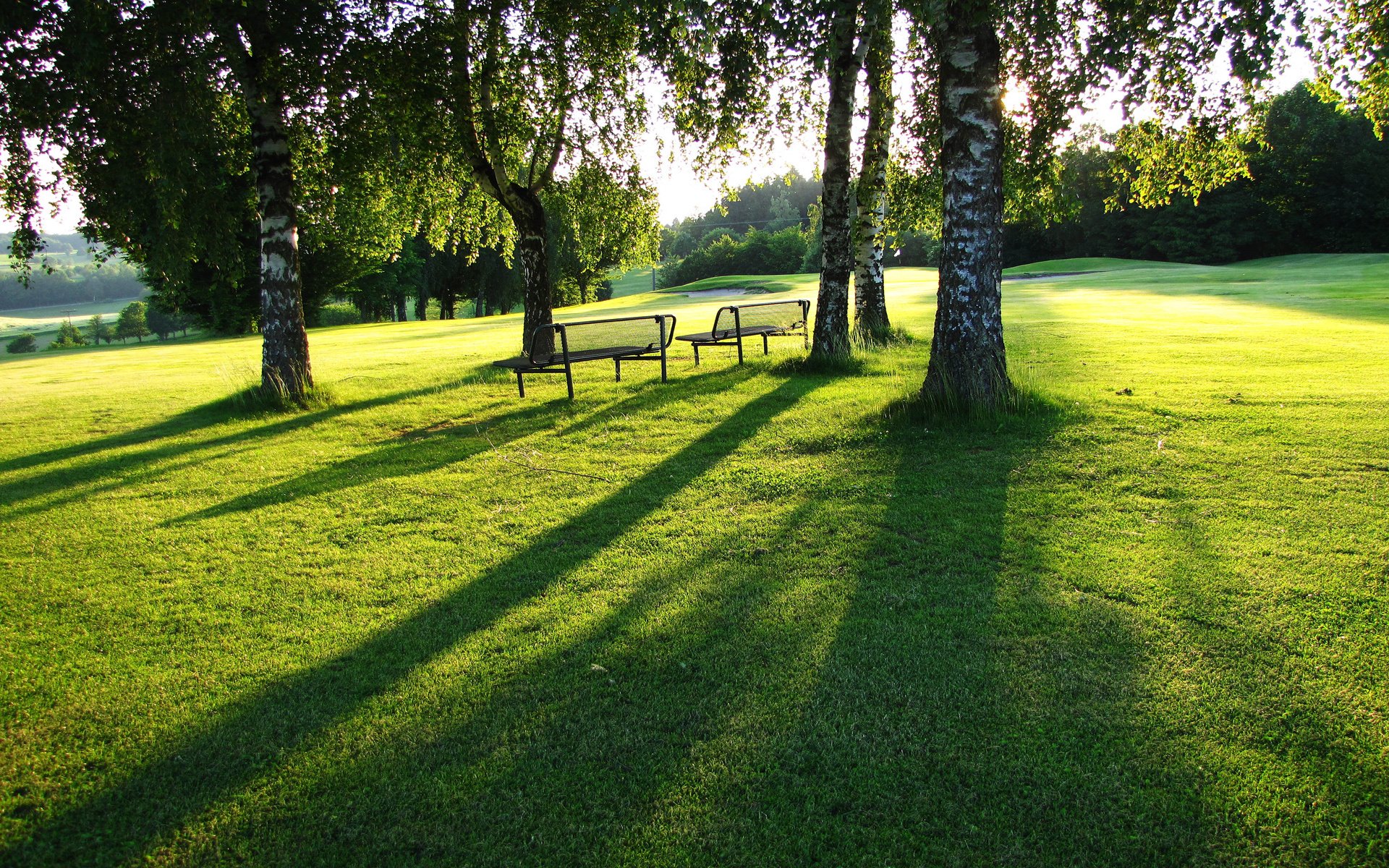 plaine pelouse pelouse herbe verdure été bancs journée ensoleillée vue feuillage loin espace