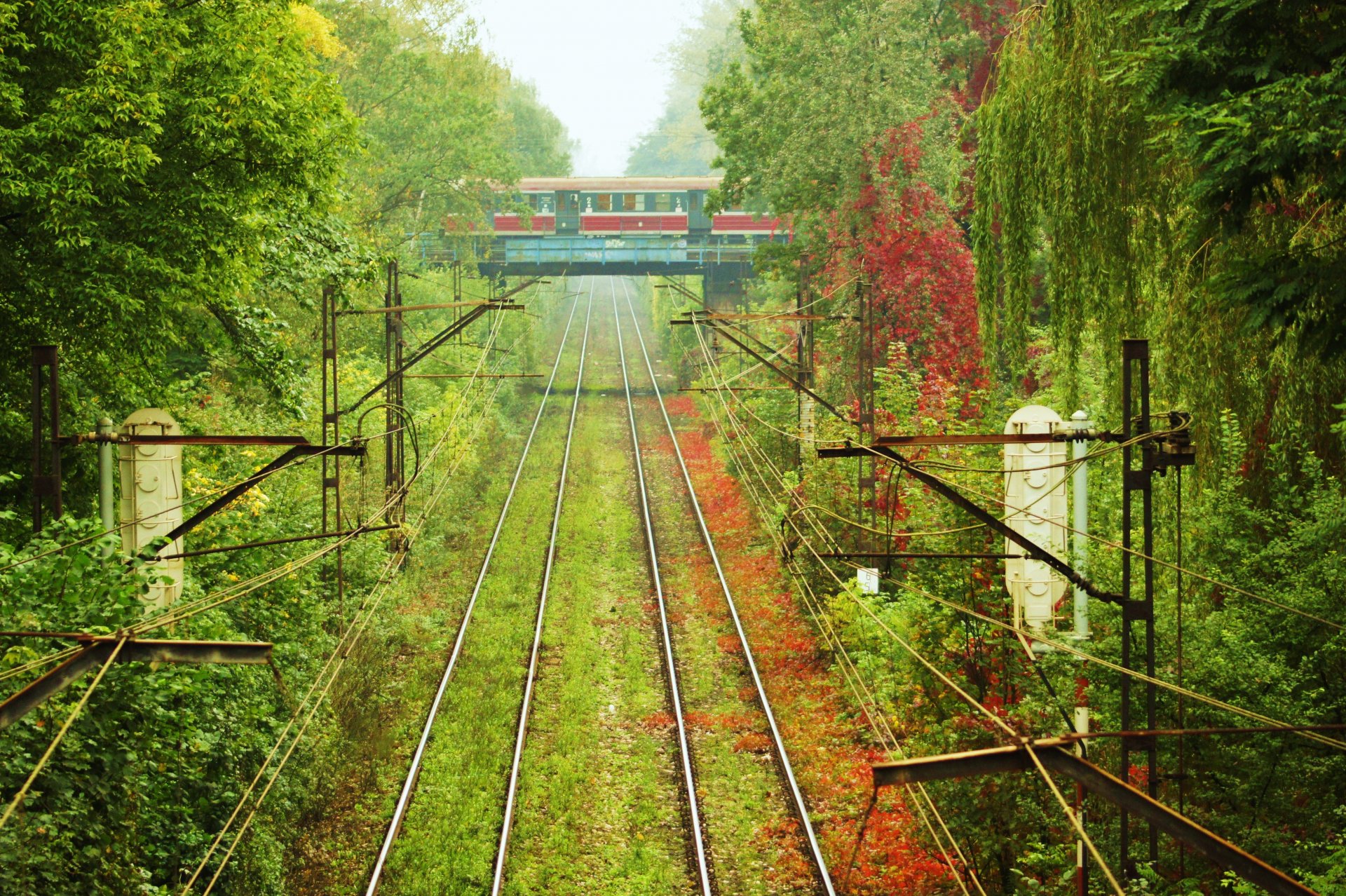 zug wagen gras bäume schienen