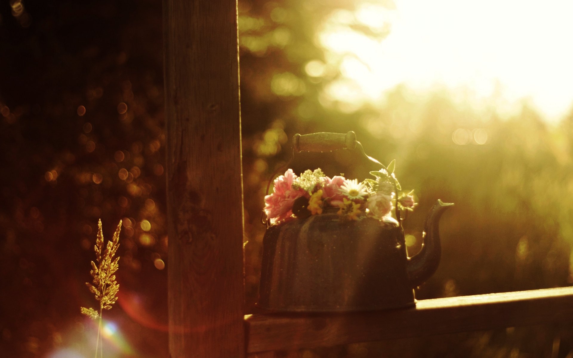 ummer morning air sun rays reflections still life kettle bouquet flower spikes mood